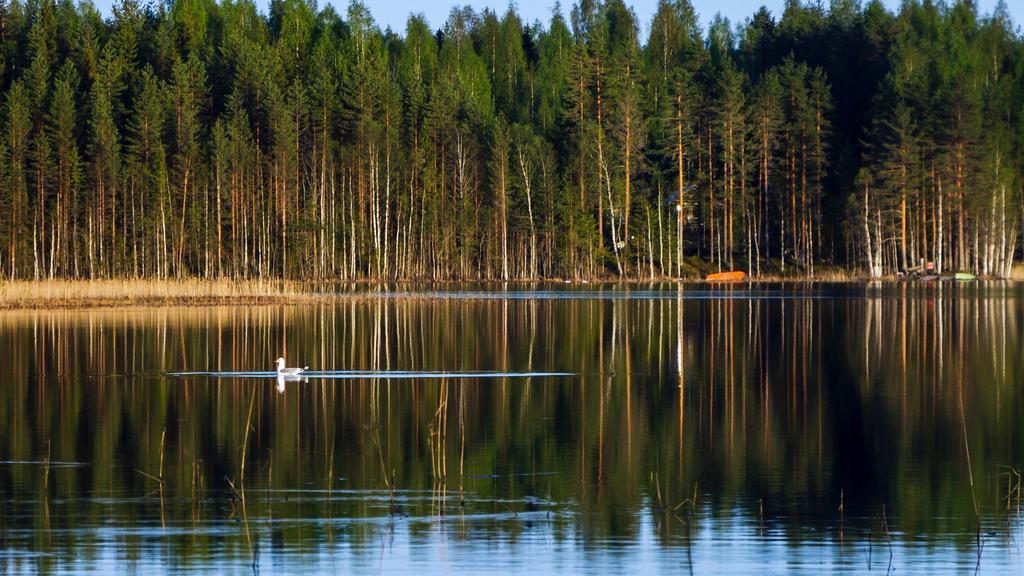 Rajan Loma Cottages Joensuu Kültér fotó
