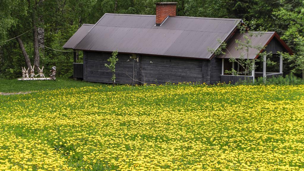 Rajan Loma Cottages Joensuu Kültér fotó